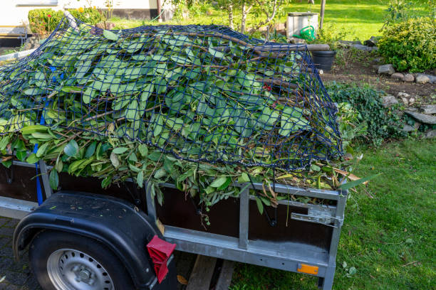 Best Residential Junk Removal  in Lake In The Hls, IL